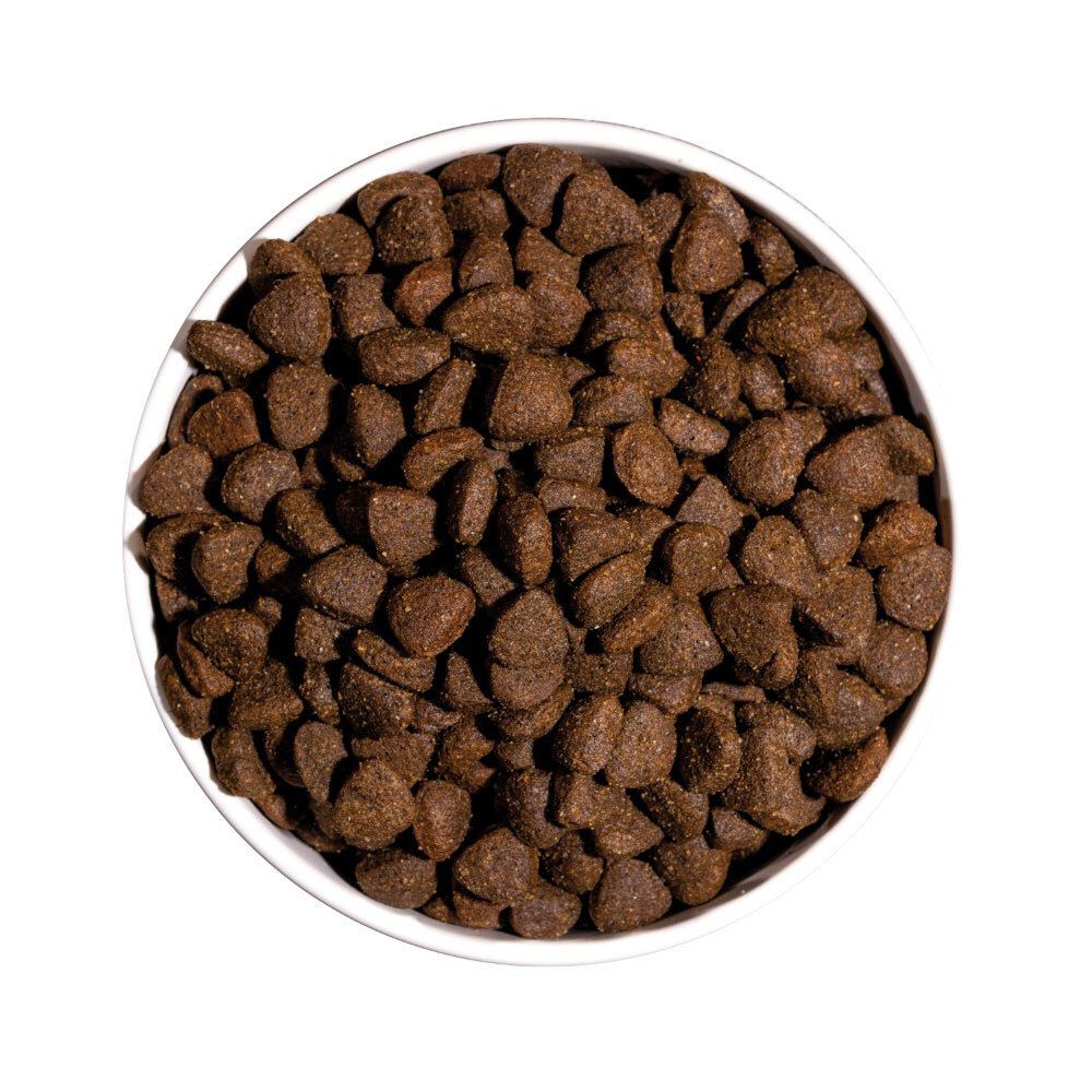 Hundefutter in einer weißen Schüssel. Die Kroketten sind braun und haben eine unregelmäßige Form.