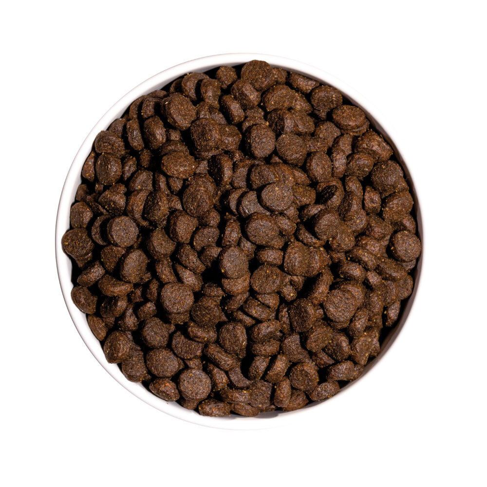 Hundefutter-Pellets in einer weißen Schüssel. Pellets sind braun und rund.