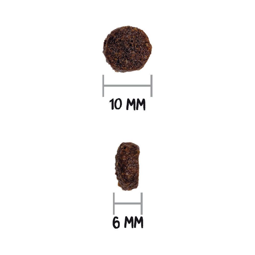Zwei Hundefutter-Pellets. Oben: 10 mm Durchmesser. Unten: 6 mm Höhe.