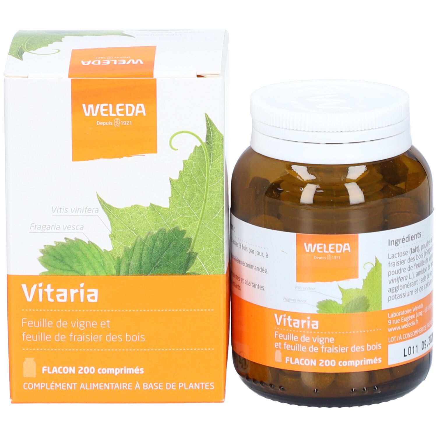 Braune Glasflasche und Karton. Beide mit Produktnamen, Marke Weleda und Inhaltsstoffen. Tabletten sichtbar.