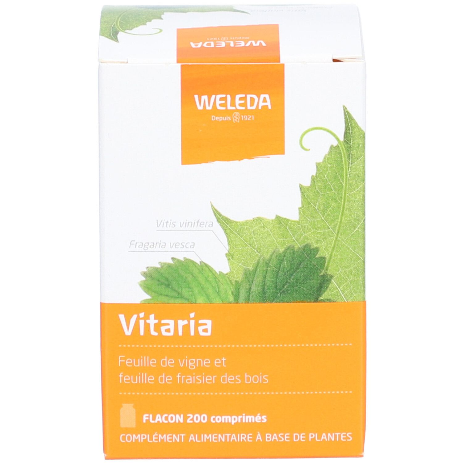 Karton mit Produktnamen, Marke Weleda und Inhaltsstoffen. Grün-gelbes Design mit Blättern.