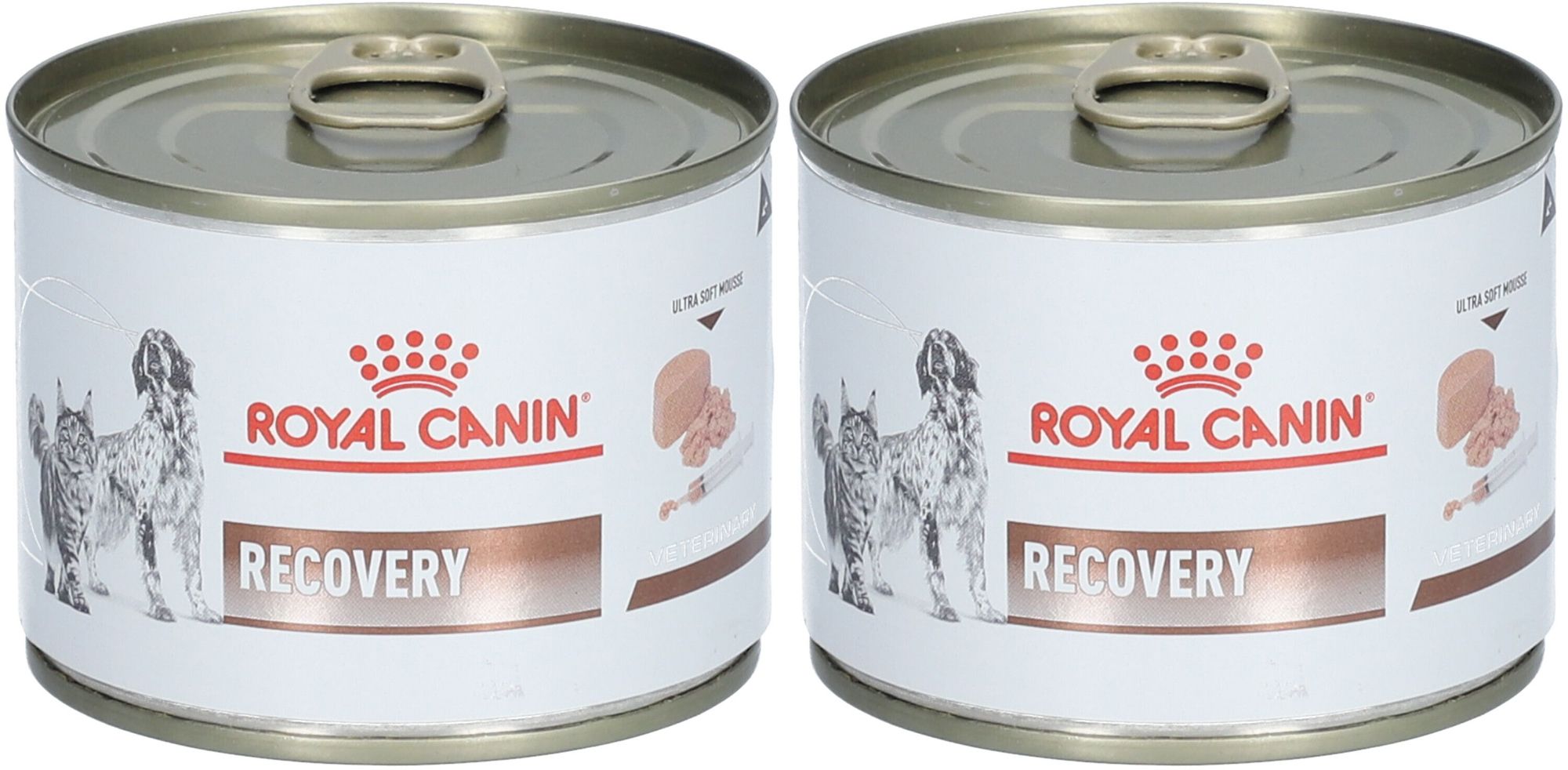 Deux boîtes de ROYAL CANIN Recovery Mousse. Boîtes blanches avec texte rouge et illustrations chien et chat.