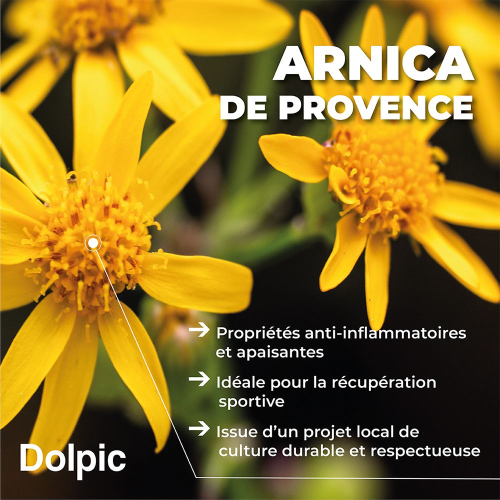 Nahaufnahme von gelben Blüten. Text: "Arnica de Provence", Eigenschaften, Projekt.