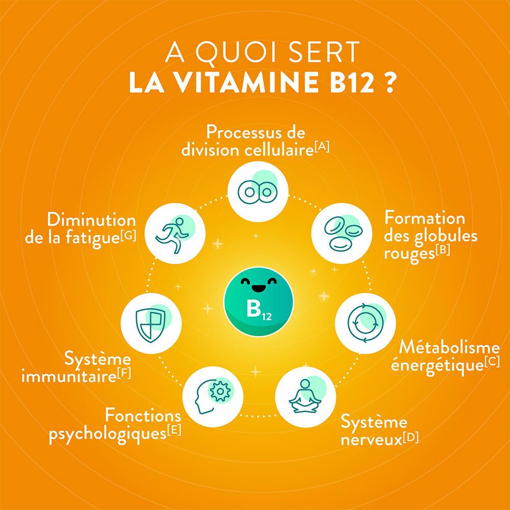 Infographie: À quoi sert la vitamine B12. Disposition circulaire avec texte et symboles.