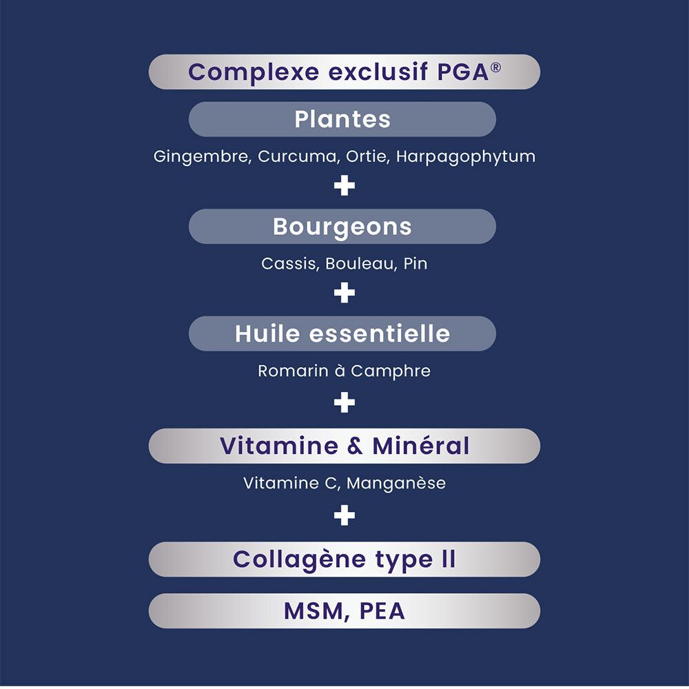Graphique avec ingrédients : Plantes, bourgeons, huiles essentielles, vitamines et minéraux, collagène type II, MSM, PEA. PGA exclusif.