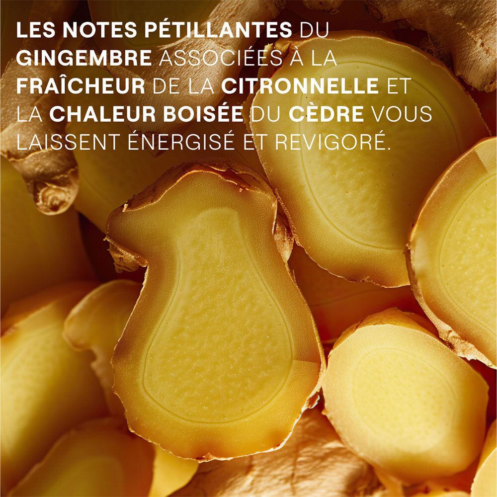 Nahaufnahme von Ingwerscheiben. Gelbliche Farbe. Text über Ingwer, Zitronengras und Zedernholz.