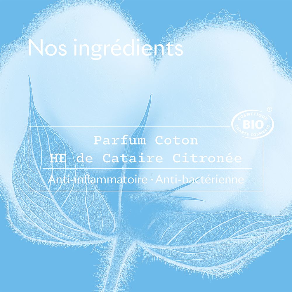 Nahaufnahme einer Baumwollblüte. Text: Parfum Coton, HE de Catairie Citronnée. Anti-inflammatorisch, antibakteriell.