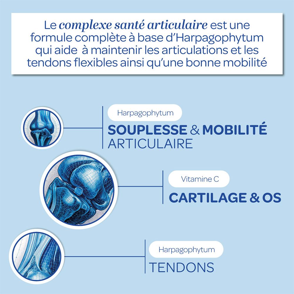 Grafik mit Illustrationen von Gelenken, Knochen und Sehnen. Text: Geschmeidigkeit & Beweglichkeit, Knorpel & Knochen, Sehnen.
