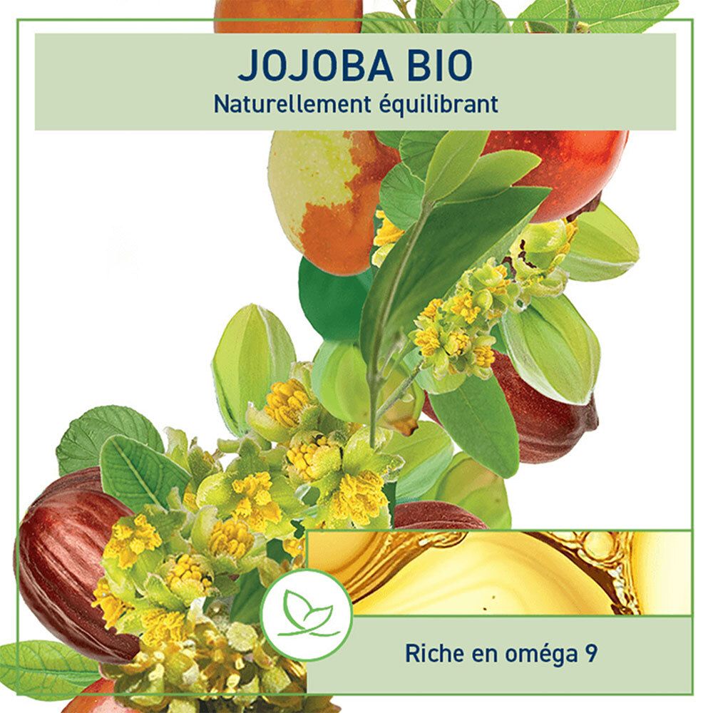 Detail der Jojoba Bio Produktverpackung. Grünes Etikett mit Produktnamen und Logo. Abbildung von Jojoba-Früchten und Blättern.