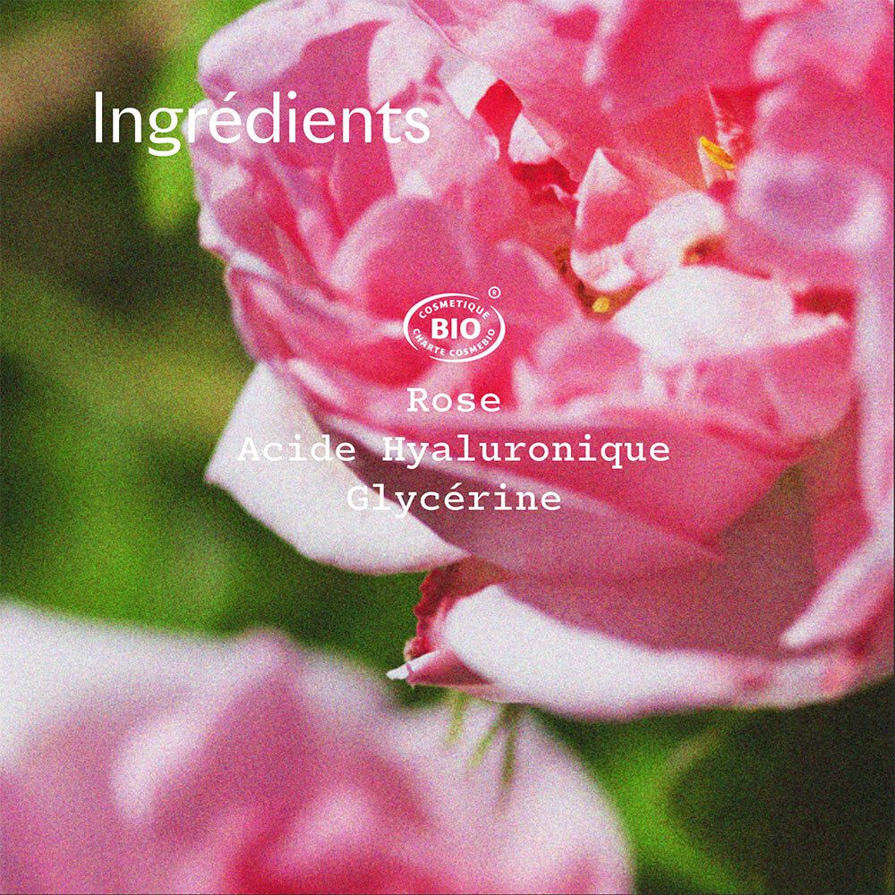 Pétales de rose avec texte "Ingrédients", "Rose", "Acide Hyaluronique", "Glycérine".