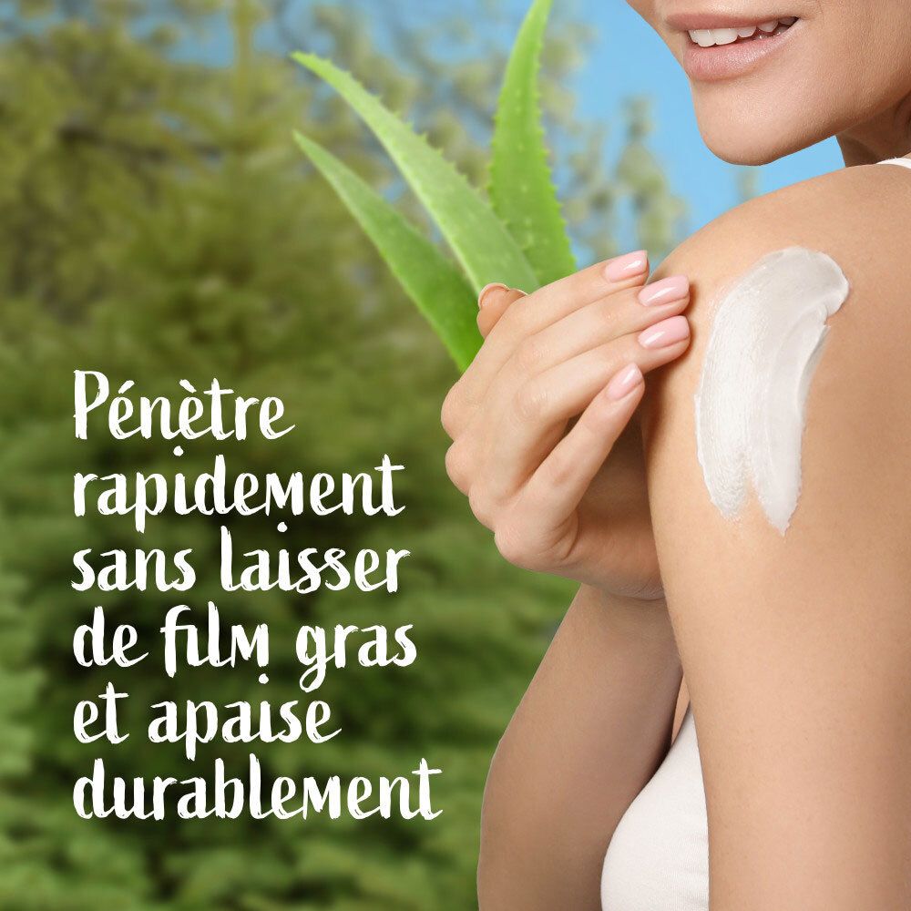 Application du lait soin Le Petit Marseillais sur peau sèche.