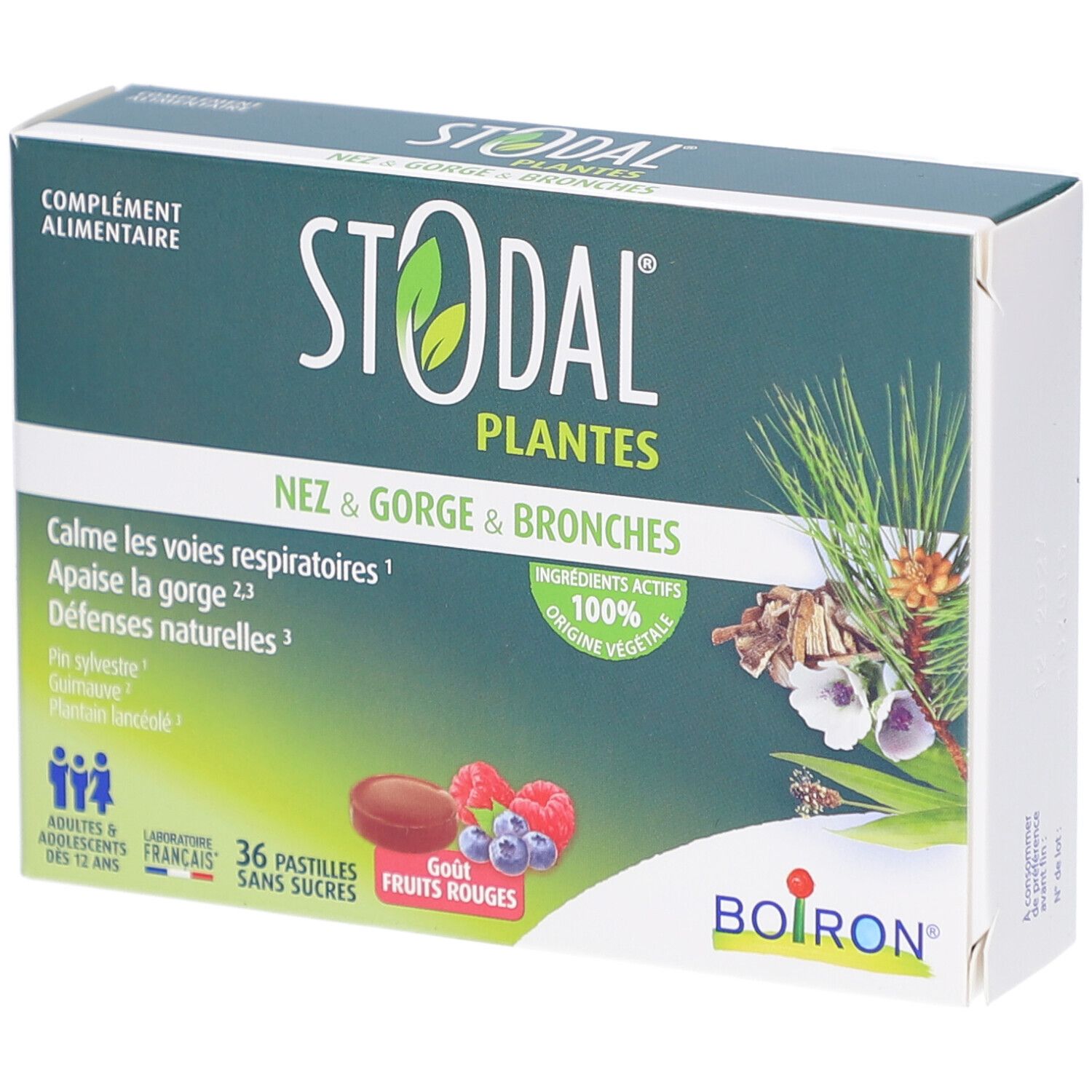 Schachtel mit STODAL PLANTES. Aufschrift: Nez & Gorge & Bronches. 36 Pastillen, rote Früchte. Boiron-Logo.