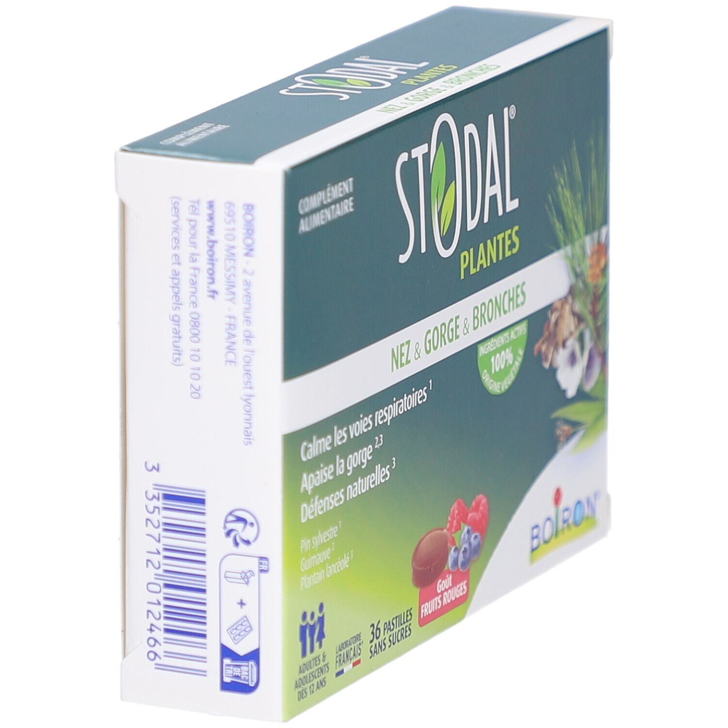 Schachtel STODAL PLANTES, schräg. Aufschrift: Nez & Gorge & Bronches. Logo Boiron. Barcode und Kontaktinformationen.