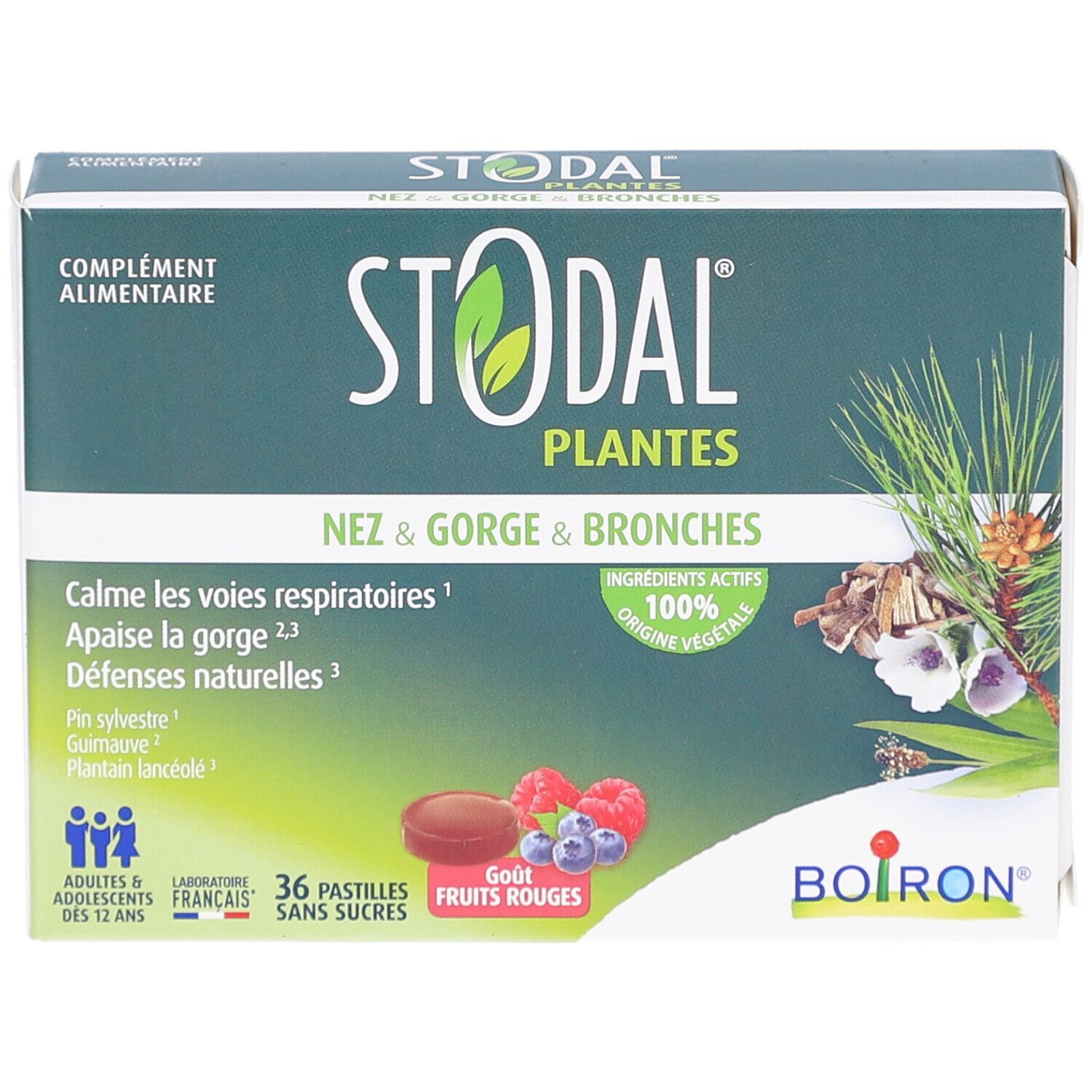 Schachtel mit STODAL PLANTES. Aufschrift: Nez & Gorge & Bronches. 36 Pastillen, rote Früchte. Boiron-Logo.