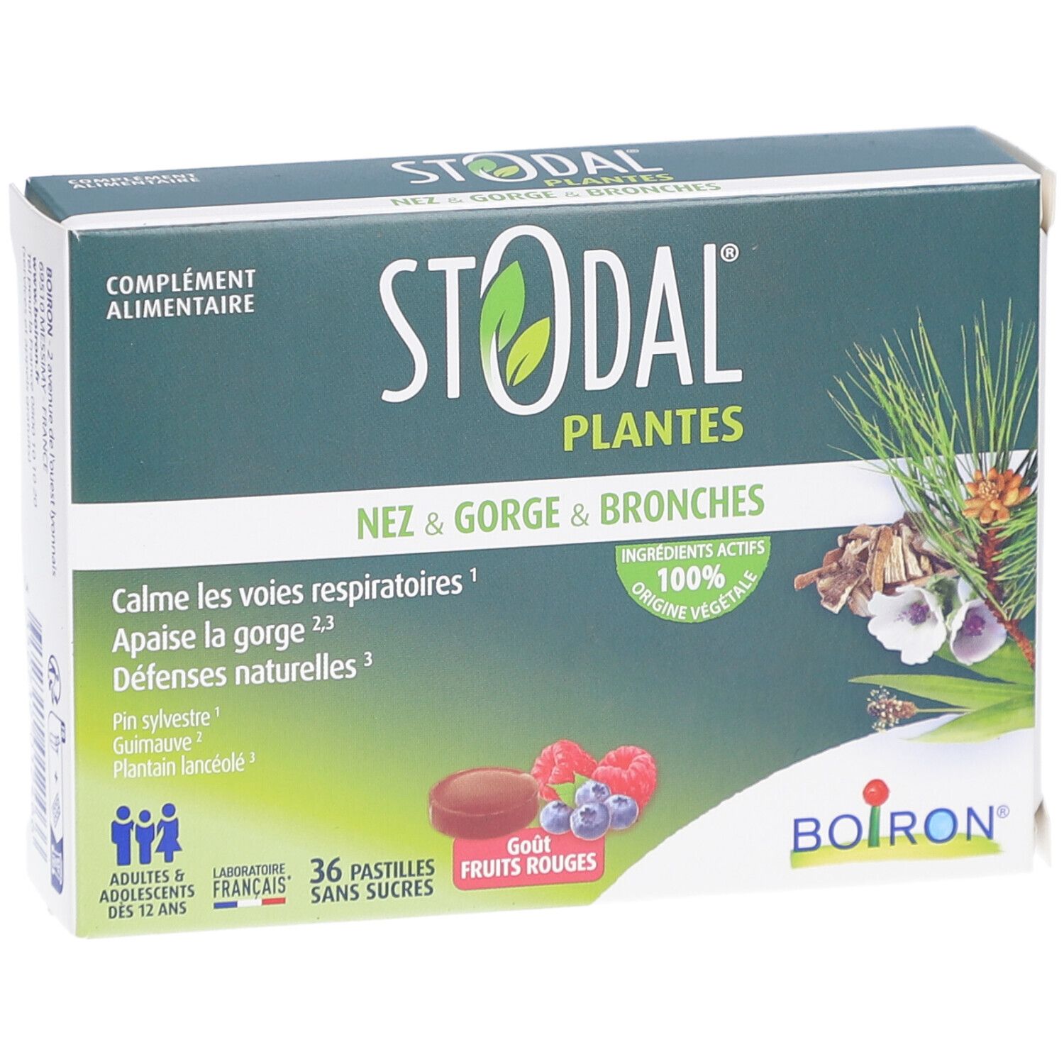 Schachtel mit STODAL PLANTES. Aufschrift: Nez & Gorge & Bronches. 36 Pastillen, rote Früchte. Boiron-Logo.