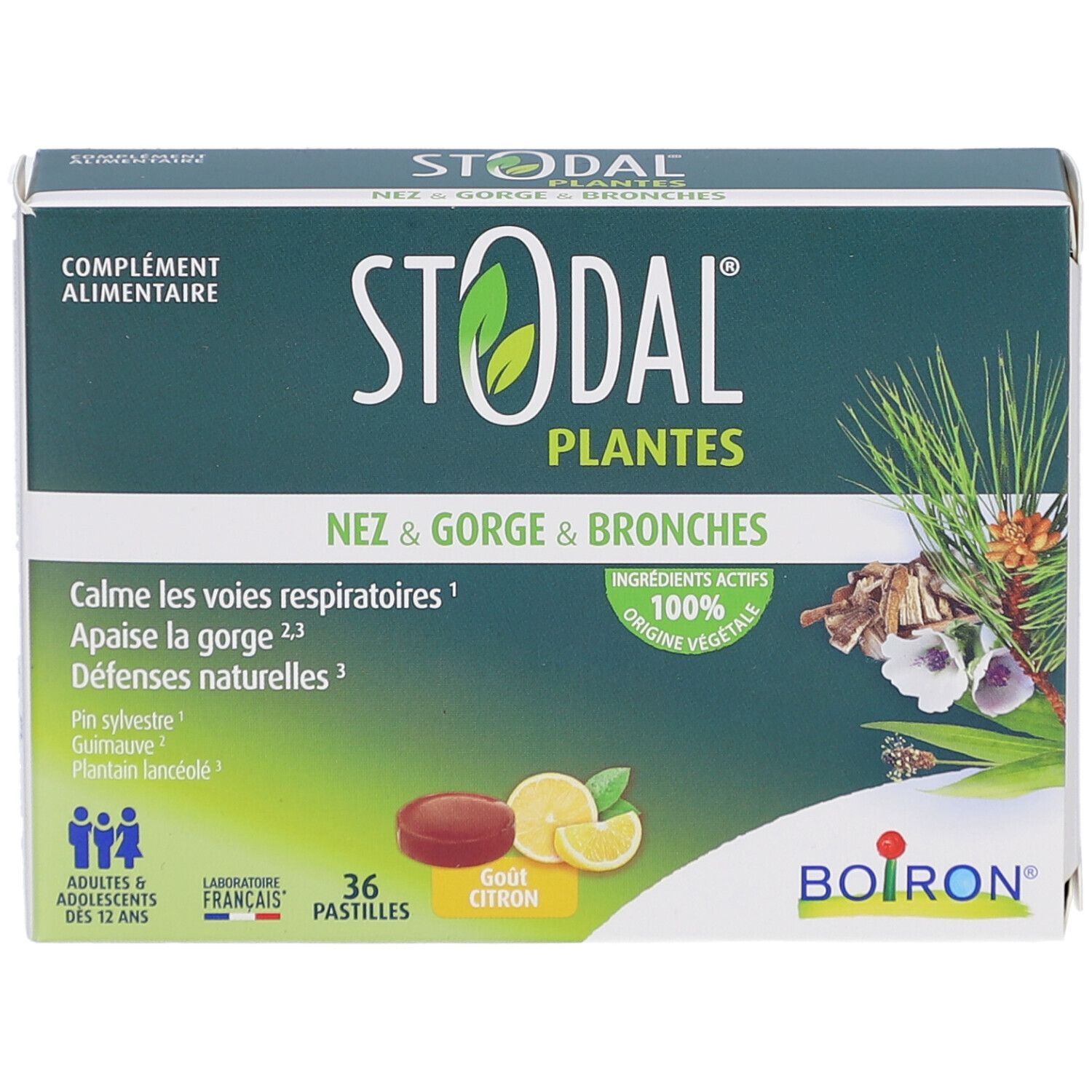 STODAL PLANTES PAST CITRON Verpackung. Grün-weiße Schachtel mit Produktnamen und Illustrationen. 36 Pastillen, Zitronengeschmack.