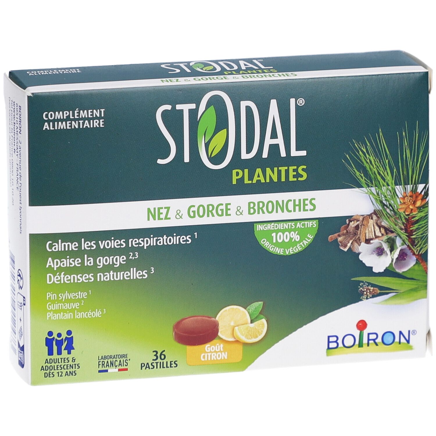 STODAL PLANTES PAST CITRON Verpackung. Grün-weiße Schachtel mit Produktnamen und Illustrationen. 36 Pastillen, Zitronengeschmack.