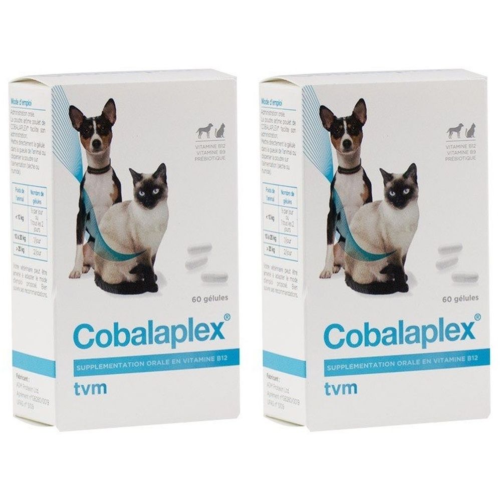 Zwei weiße Kartons mit Cobalaplex-Aufdruck, Abbildung von Hund und Katze. Text: 60 gélules, tvm.