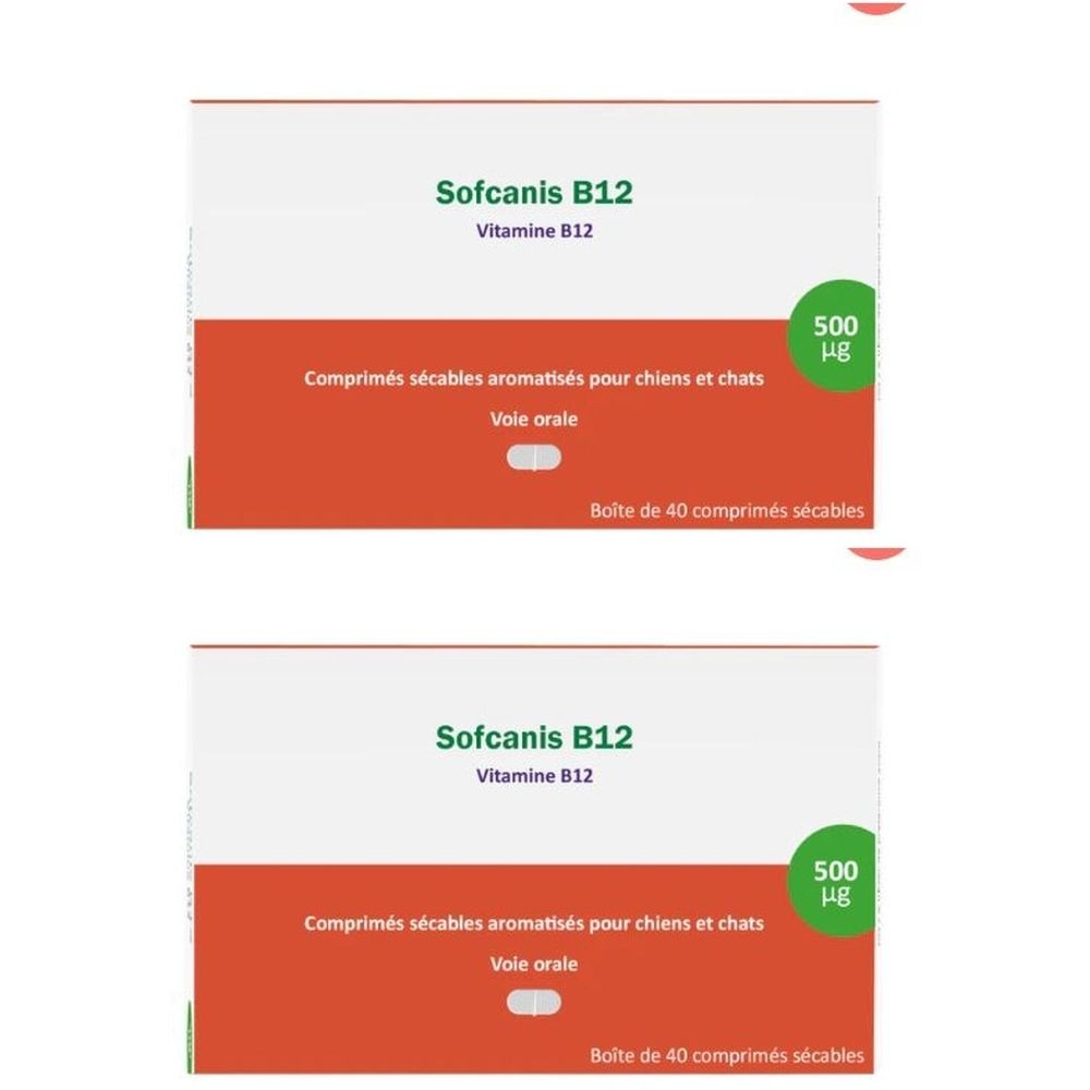 Zwei Packungen mit der Aufschrift "Sofcanis B12 Vitamine B12". Orangefarbener Streifen mit Text. Grüne Kreise mit "500 µg".