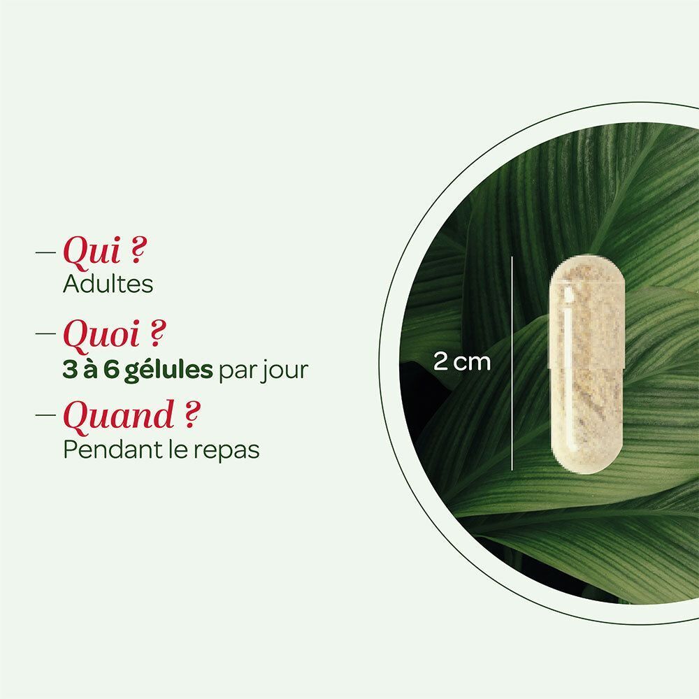 Une gélule SUPERDIET Vigne Rouge Bio de 2 cm de long, devant une feuille.