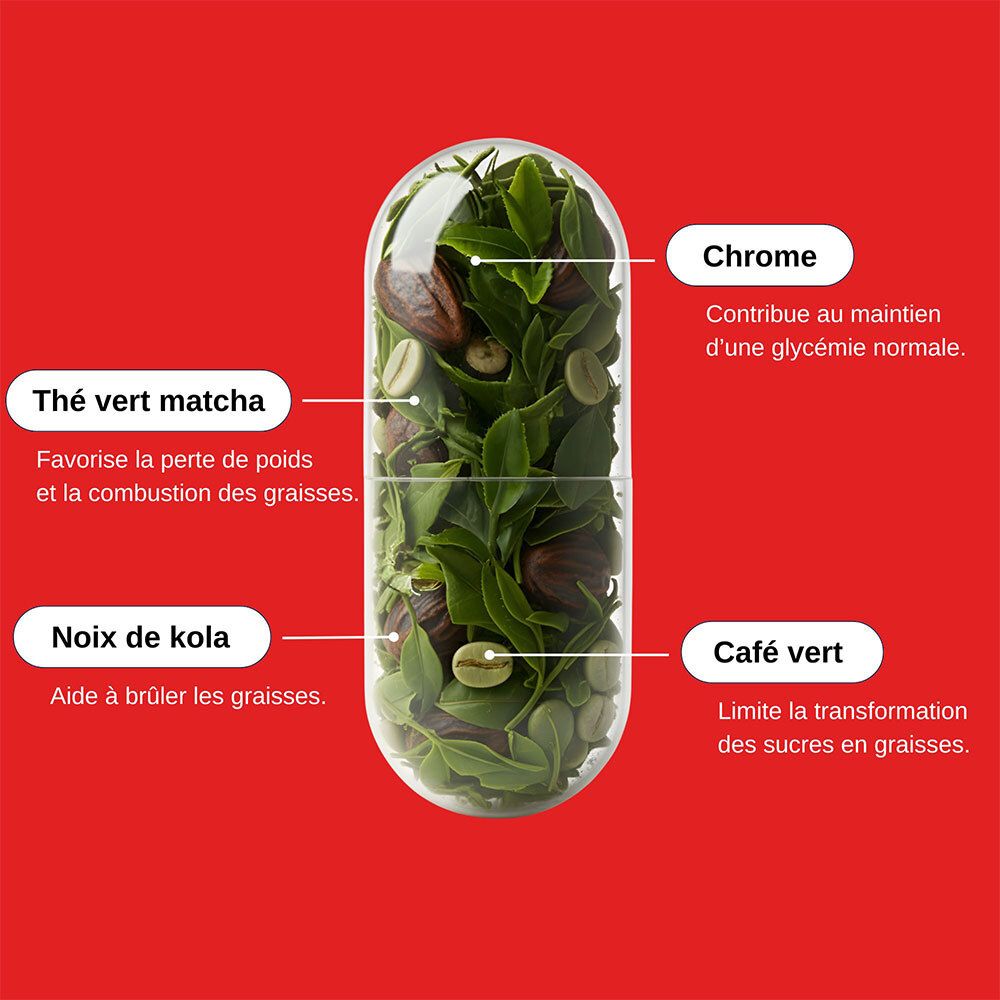 Gélule avec ingrédients: Thé vert, Kola, café vert, Chrome. Inscription: Thé vert matcha, Noix de kola, Café vert, Chrome.