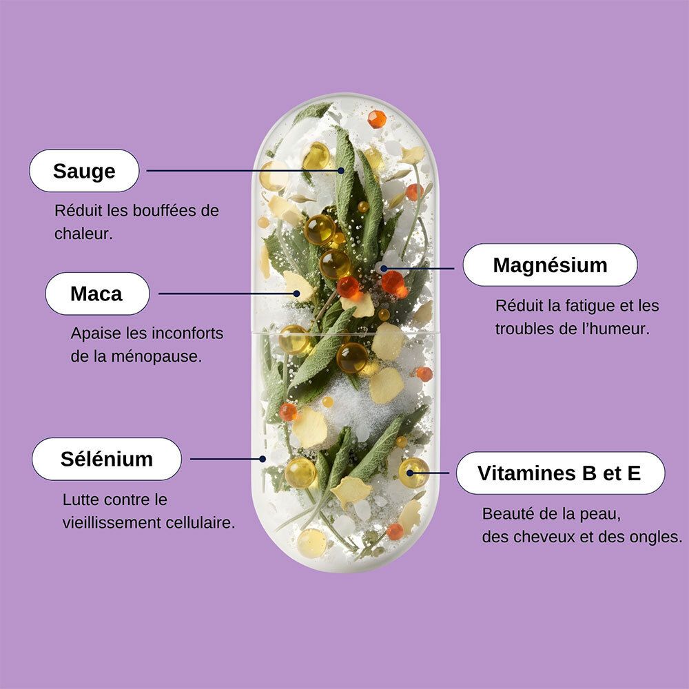 Kapsel-Querschnitt mit Inhaltsstoffen: Salbei, Maca, Selen, Magnesium, Vitamine B & E. Beschriftungen.