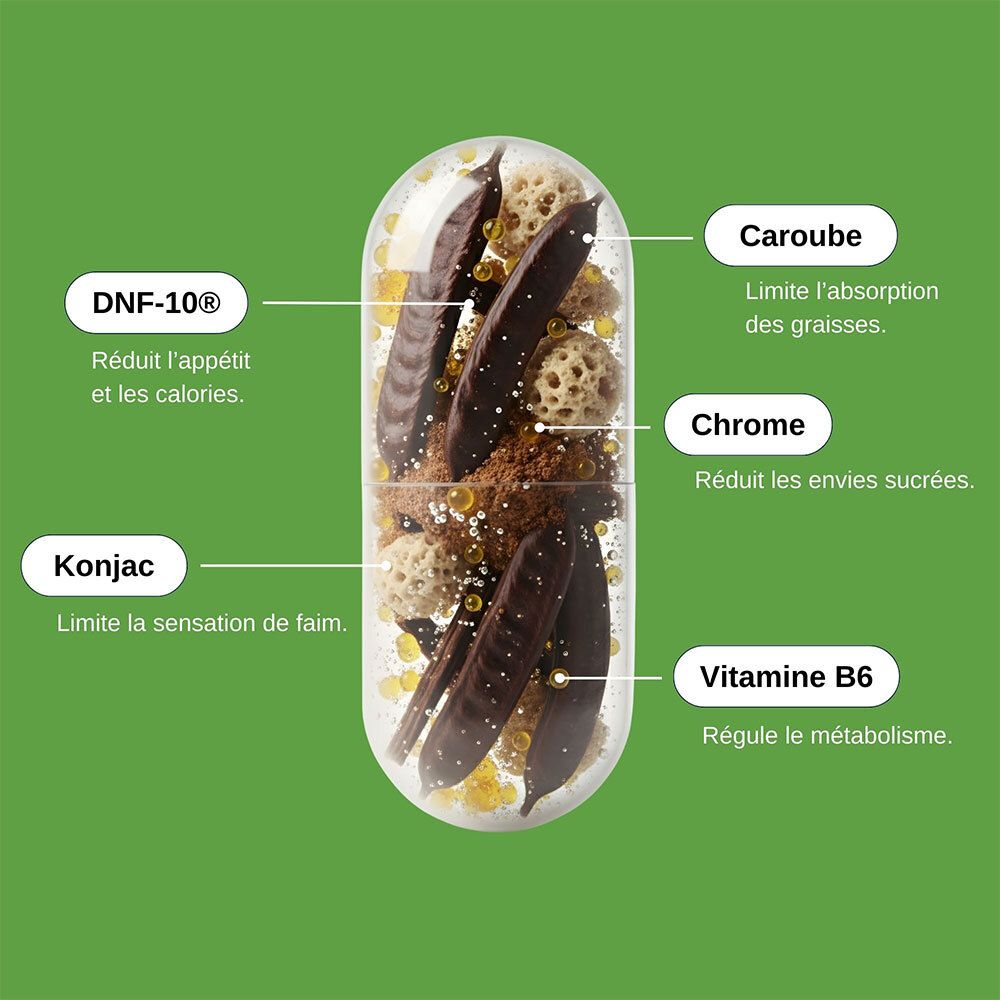 Illustration de gélule avec ingrédients: DNF-10®, Caroube, Konjac, Chrome, Vitamine B6. Fond vert.