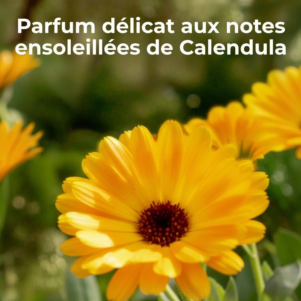 Gelbe Blumen im Vordergrund. Text: Zarter Duft mit sonnigen Calendula-Noten.