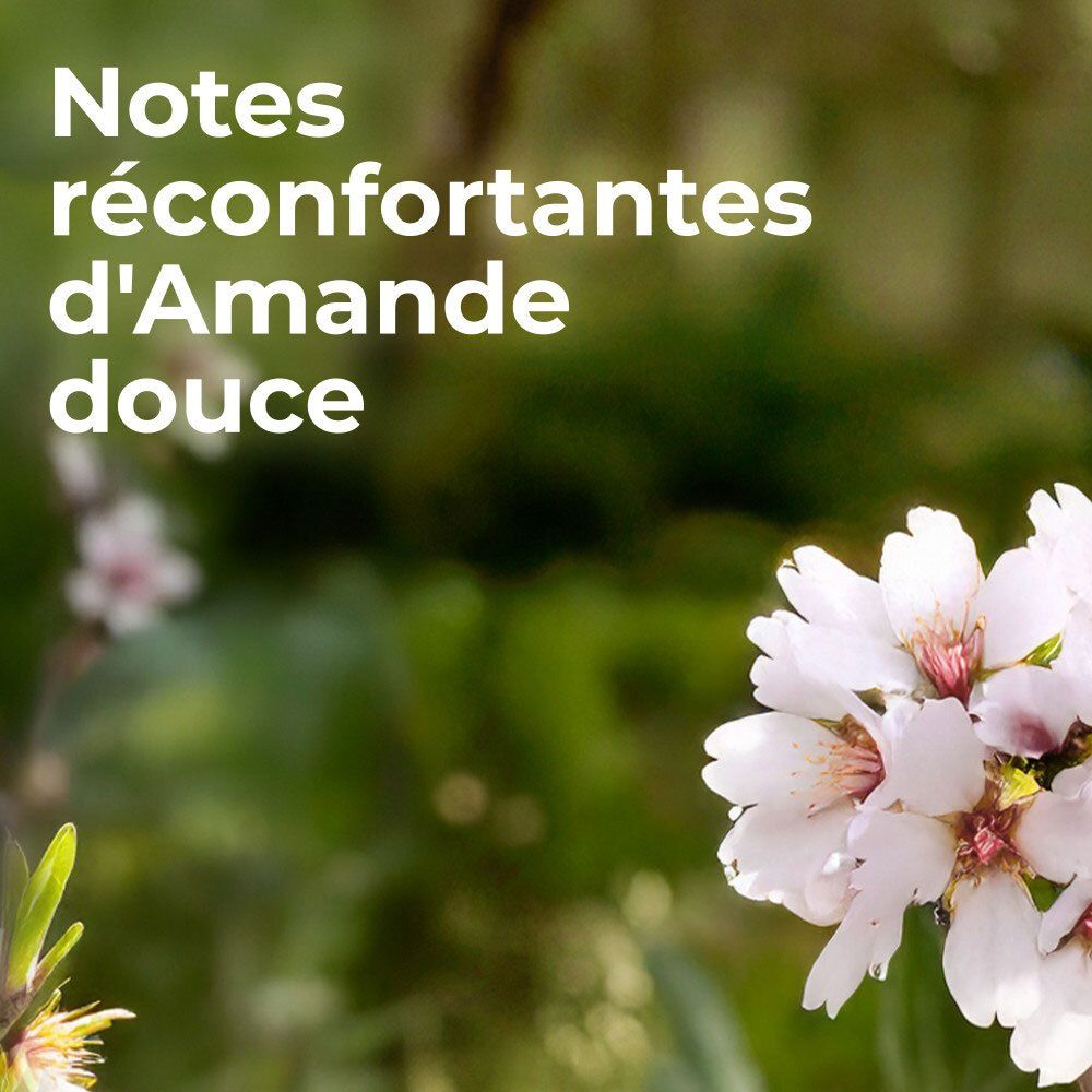 Gros plan de fleurs. Texte : Notes réconfortantes d'Amande douce.