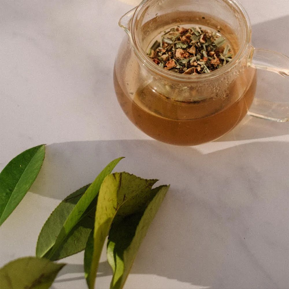 Pichet en verre avec herbes et liquide. Feuilles vertes à côté.