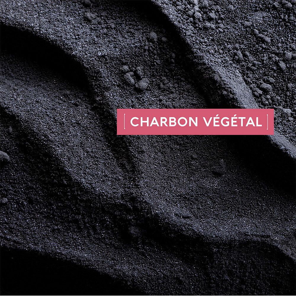 Nahaufnahme von Pflanzenkohle, dem Hauptbestandteil des Pflasters. Text: 'Charbon végétal'.