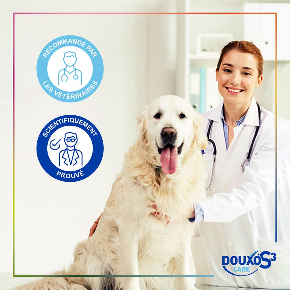Tierärztin mit Golden Retriever, DOUXO S3 CARE Logo und Siegeln 'Von Tierärzten empfohlen'.