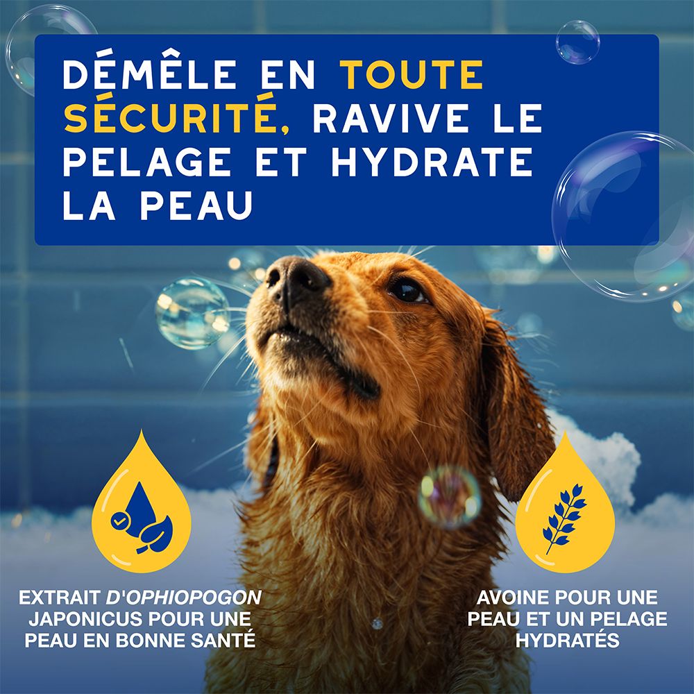 Hund mit Schaum im Fell, umgeben von Seifenblasen. Text: Démêle en toute sécurité, ravive le pelage et hydrate la peau.