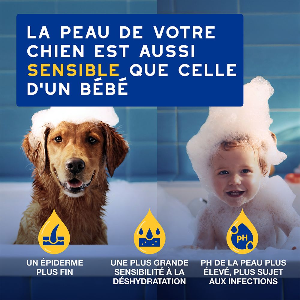 Vergleich von Hundehaut und Babyhaut in Schaum. Text: La peau de votre chien est aussi sensible que celle d'un bébé.
