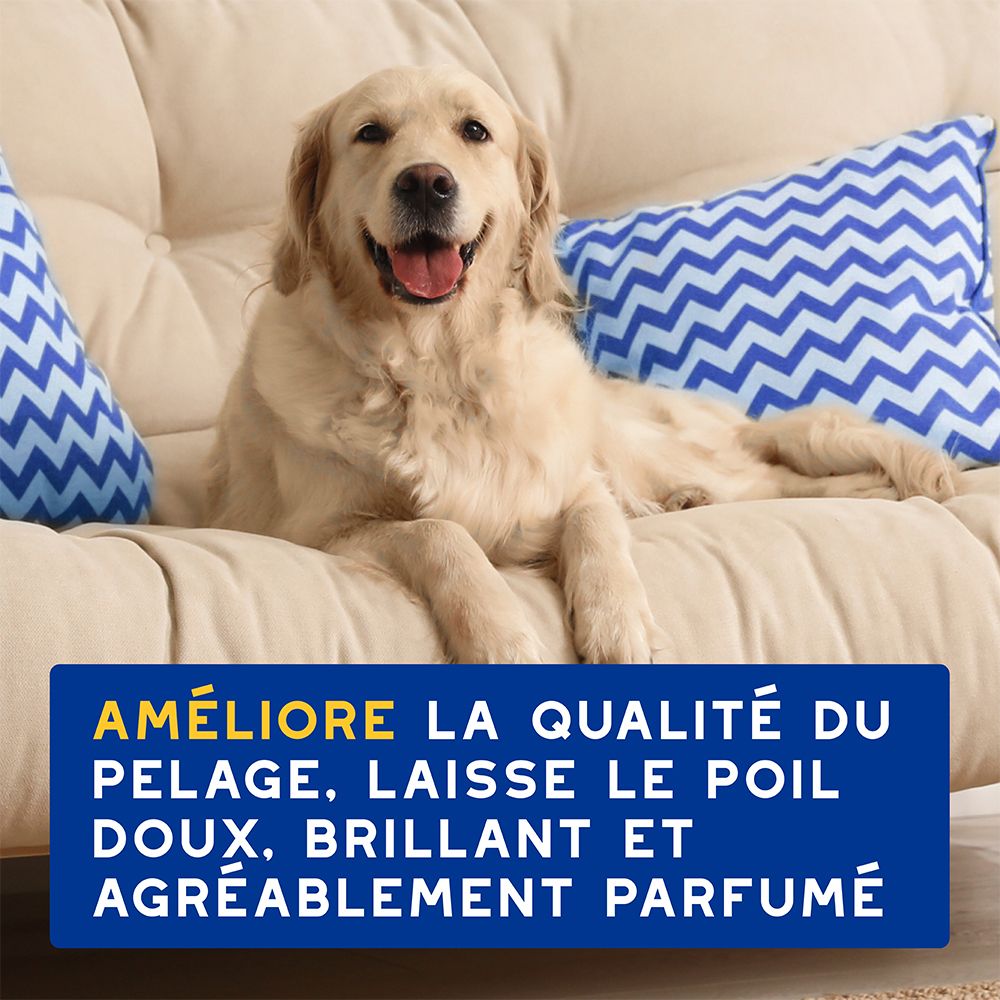 Glücklicher Golden Retriever liegt auf einem Sofa. Text: Améliore la qualité du pelage, laisse le poil doux, brillant et agréablement parfumé.