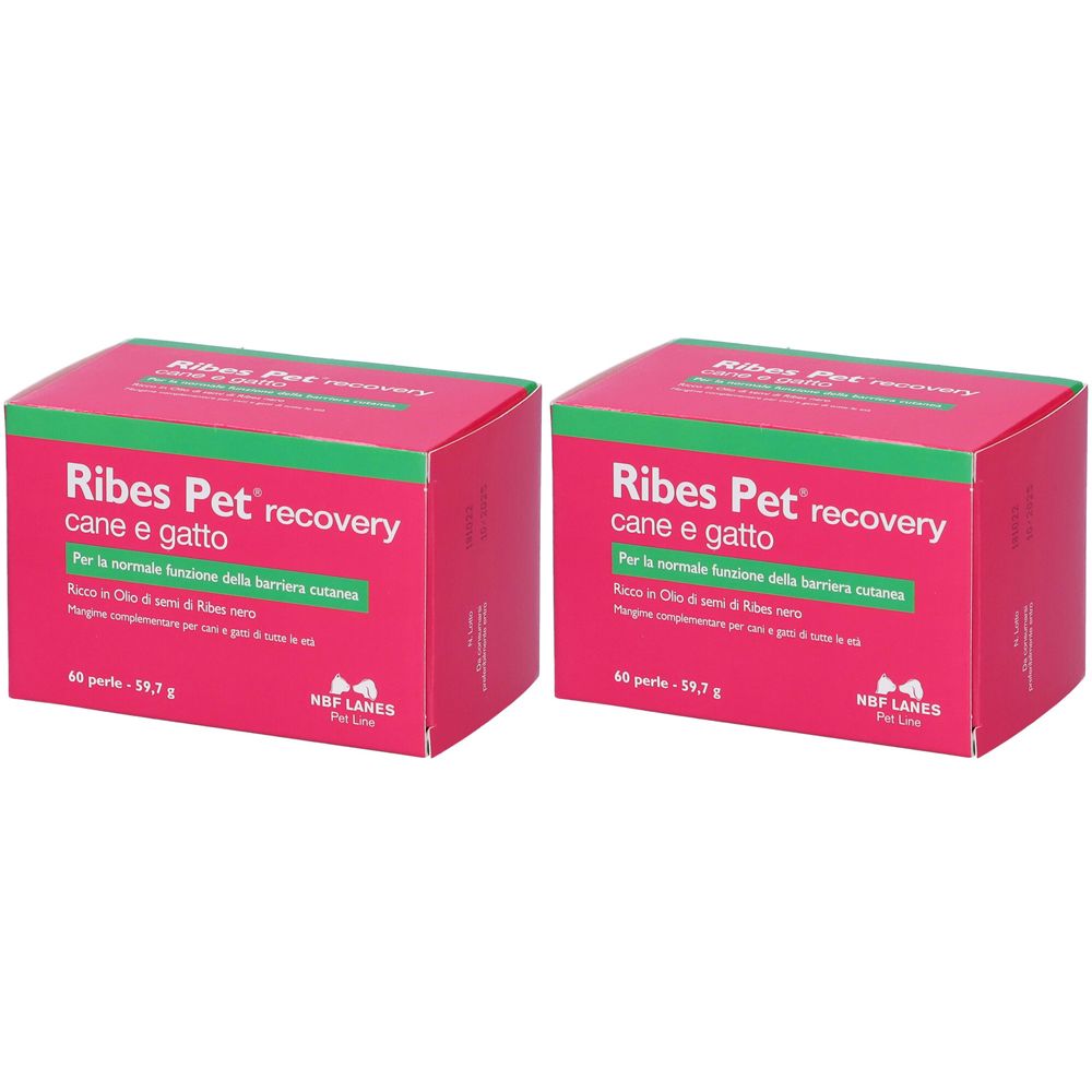 Zwei rosa Kartons mit grüner Schrift. Aufschrift: Ribes Pet recovery cane e gatto. Marke: NBF Lanes.