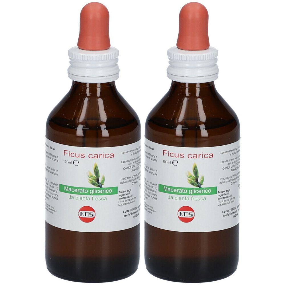 Zwei braune Glasflaschen mit Dosierpipetten. Auf den Etiketten steht "Ficus carica" und "Macerato glicerico".
