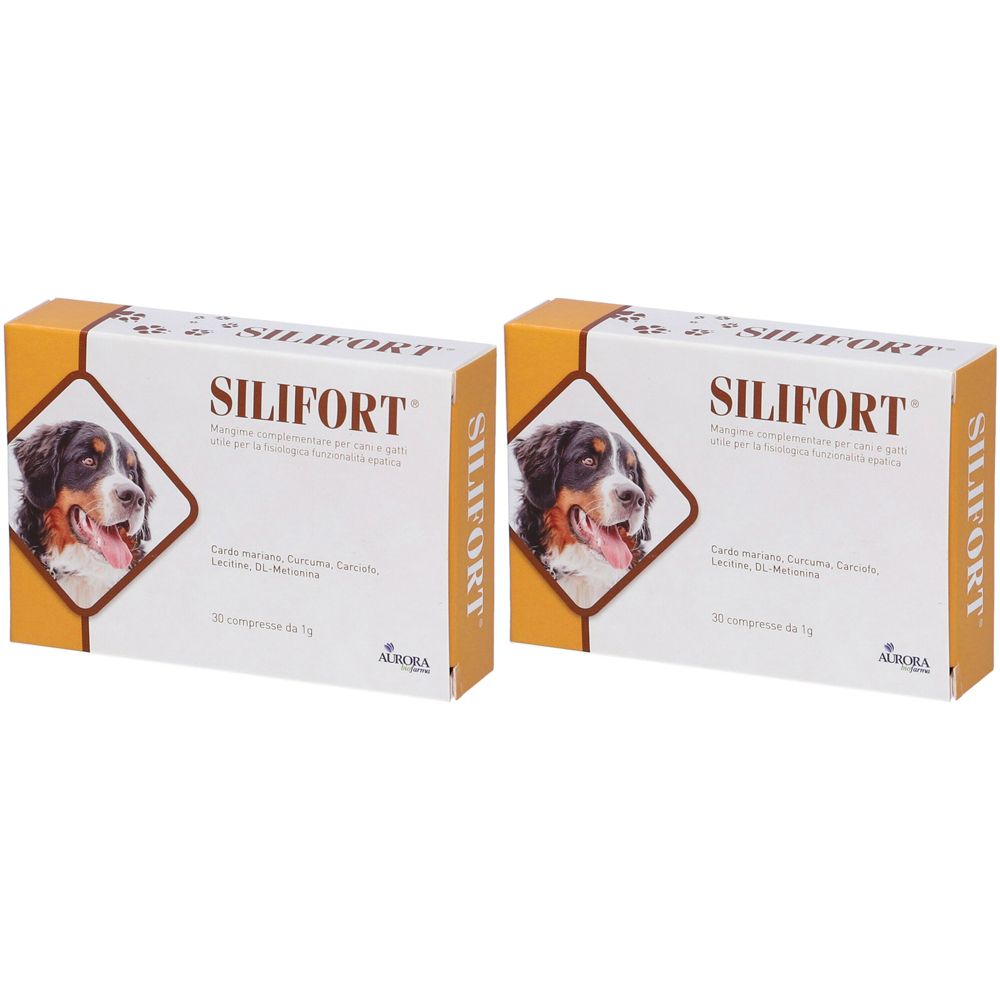 Zwei rechteckige Kartons mit der Aufschrift SILIFORT und einem Hundebild. Aufschrift in italienischer Sprache.