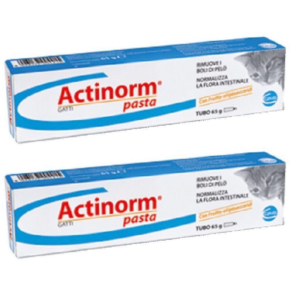 Zwei Tuben Actinorm Pasta für Katzen. Blaue Verpackung mit roter Schrift. Enthält Text und ein Katzenkopf-Symbol.
