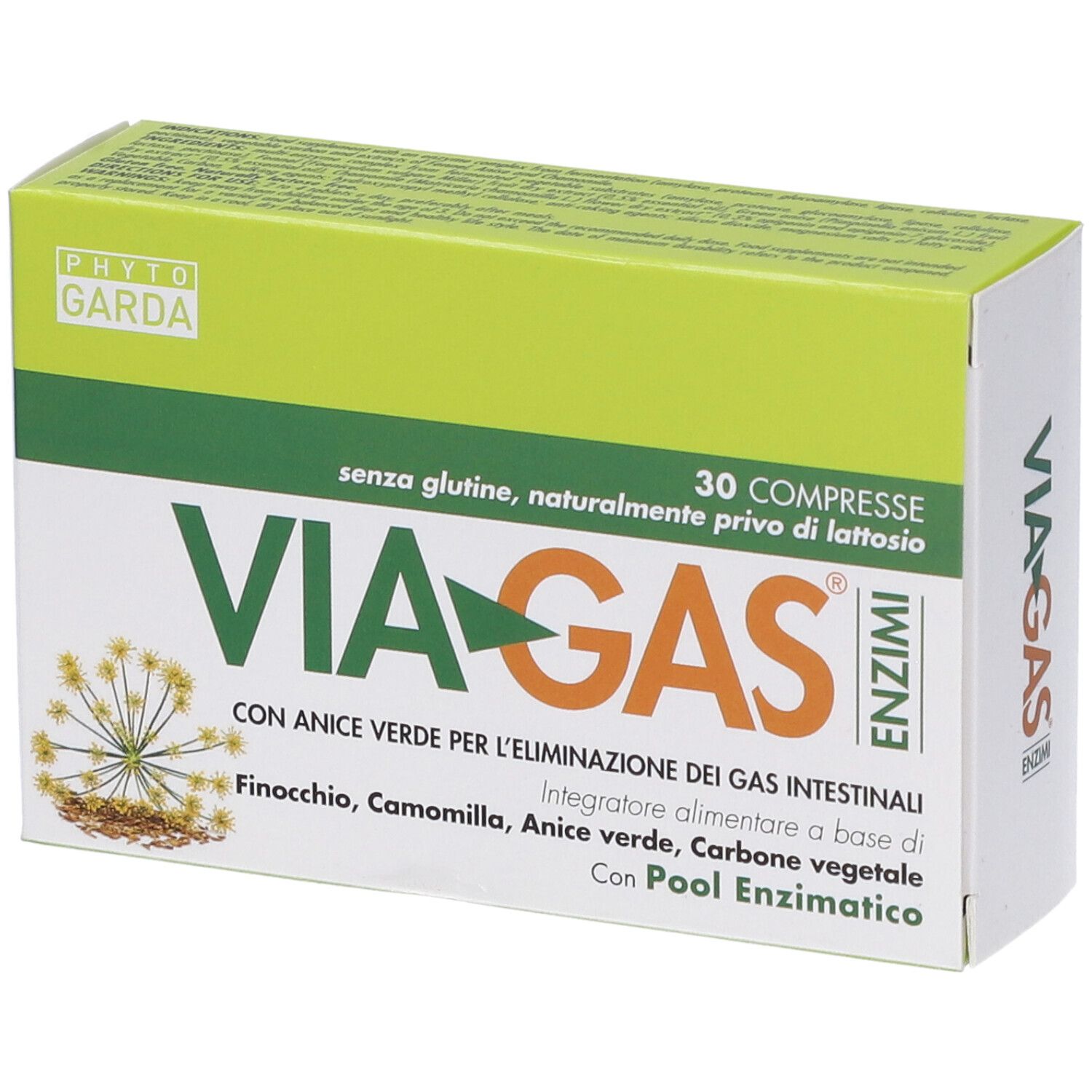 Schachtel mit Enzymtabletten. Aufschrift: VIA-GAS, 30 Tabletten, ohne Gluten, ohne Laktose. Marke: PHYTOGARDA.