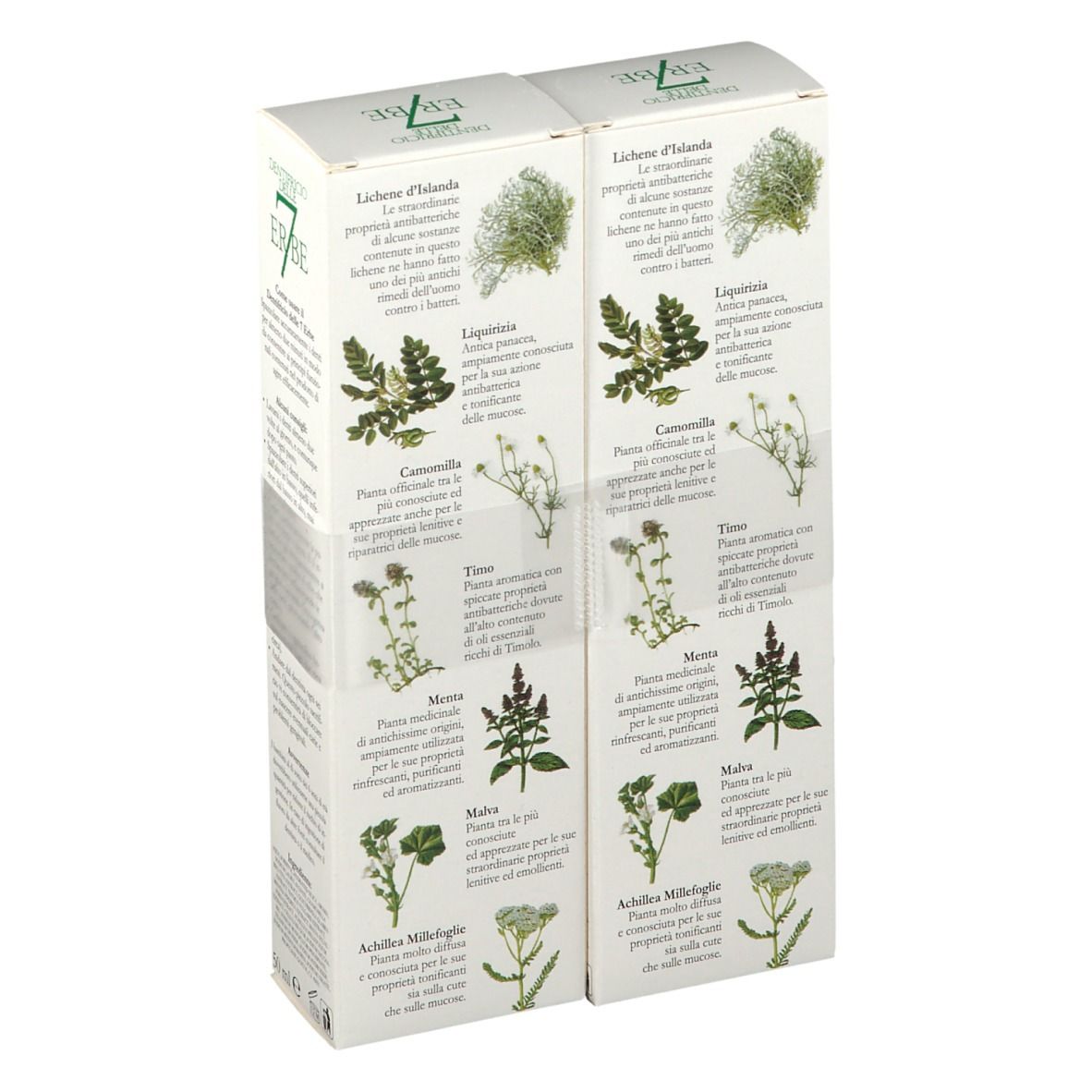 Deux boîtes de dentifrice "7 Erbe". Dos avec informations et illustrations d'herbes. Texte italien.