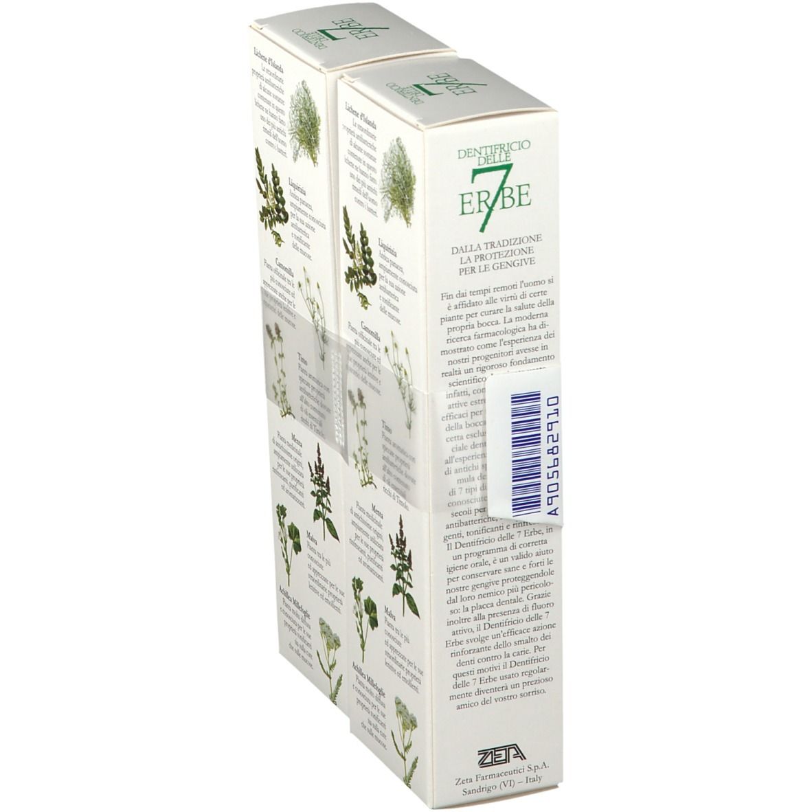 Deux boîtes de dentifrice "7 Erbe". Vue latérale avec texte et illustrations d'herbes. Texte italien. Code-barres.