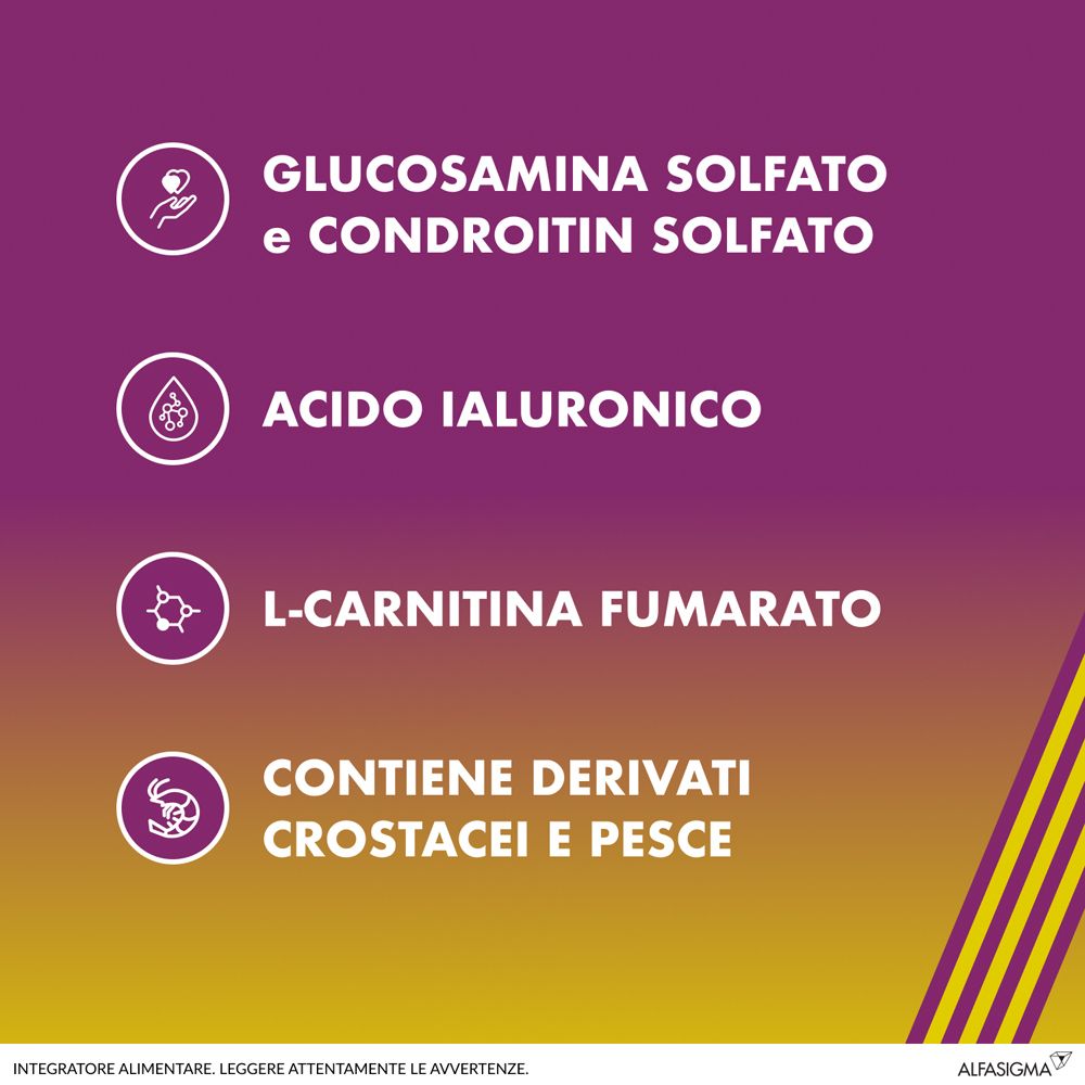Grafik mit Inhaltsstoffen: Glucosaminsulfat, Chondroitinsulfat, Hyaluronsäure, L-Carnitin. Enthält Krustentiere und Fisch.