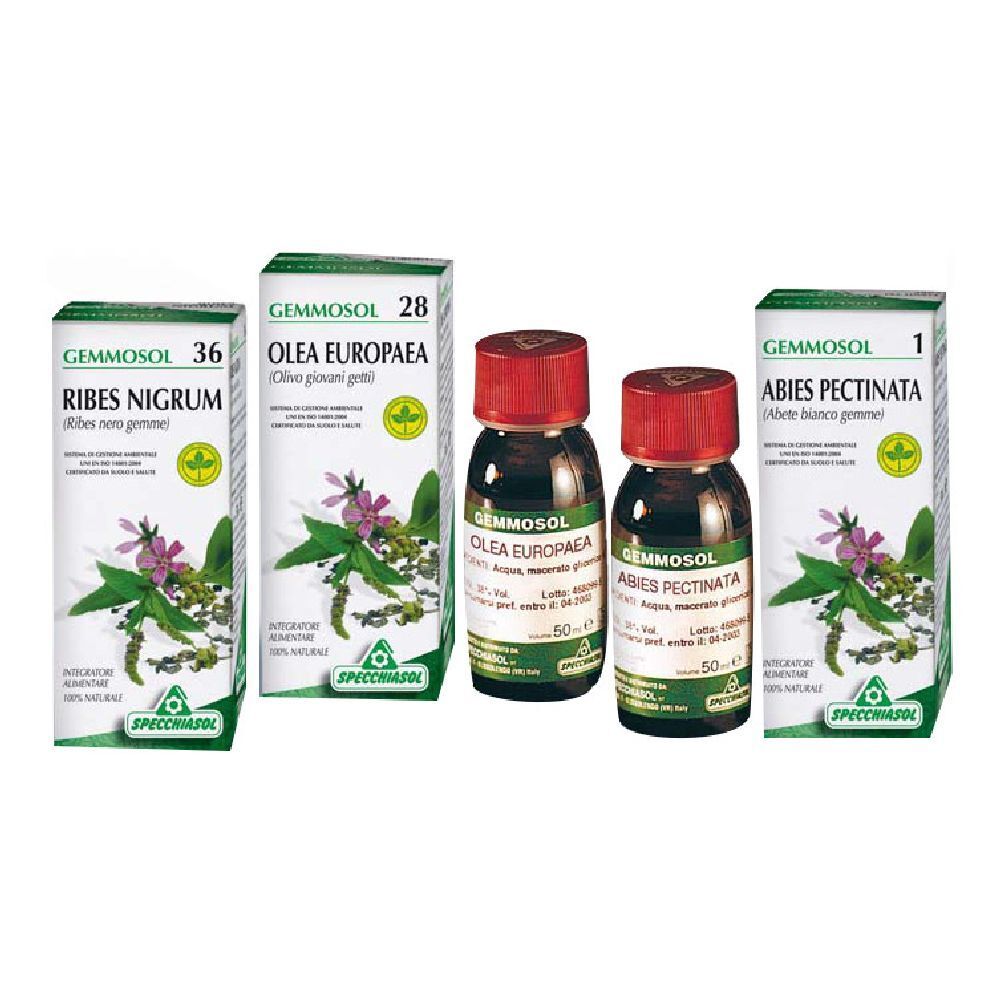 Plusieurs flacons et boîtes avec des impressions de produits. Inscription : Gemmosol, Ribes Nigrum, Olea Europaea, Abies Pectinata.
