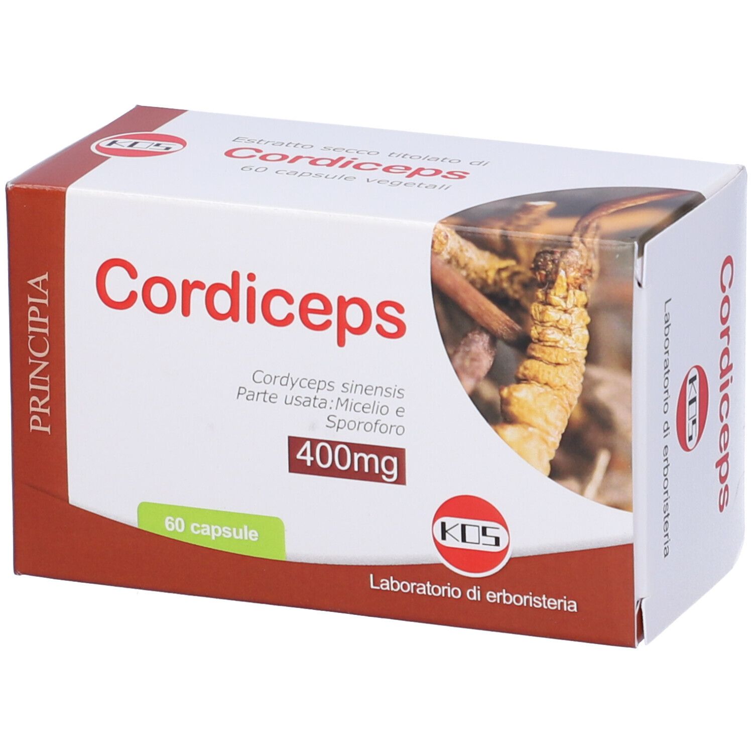 KOS Cordyceps
