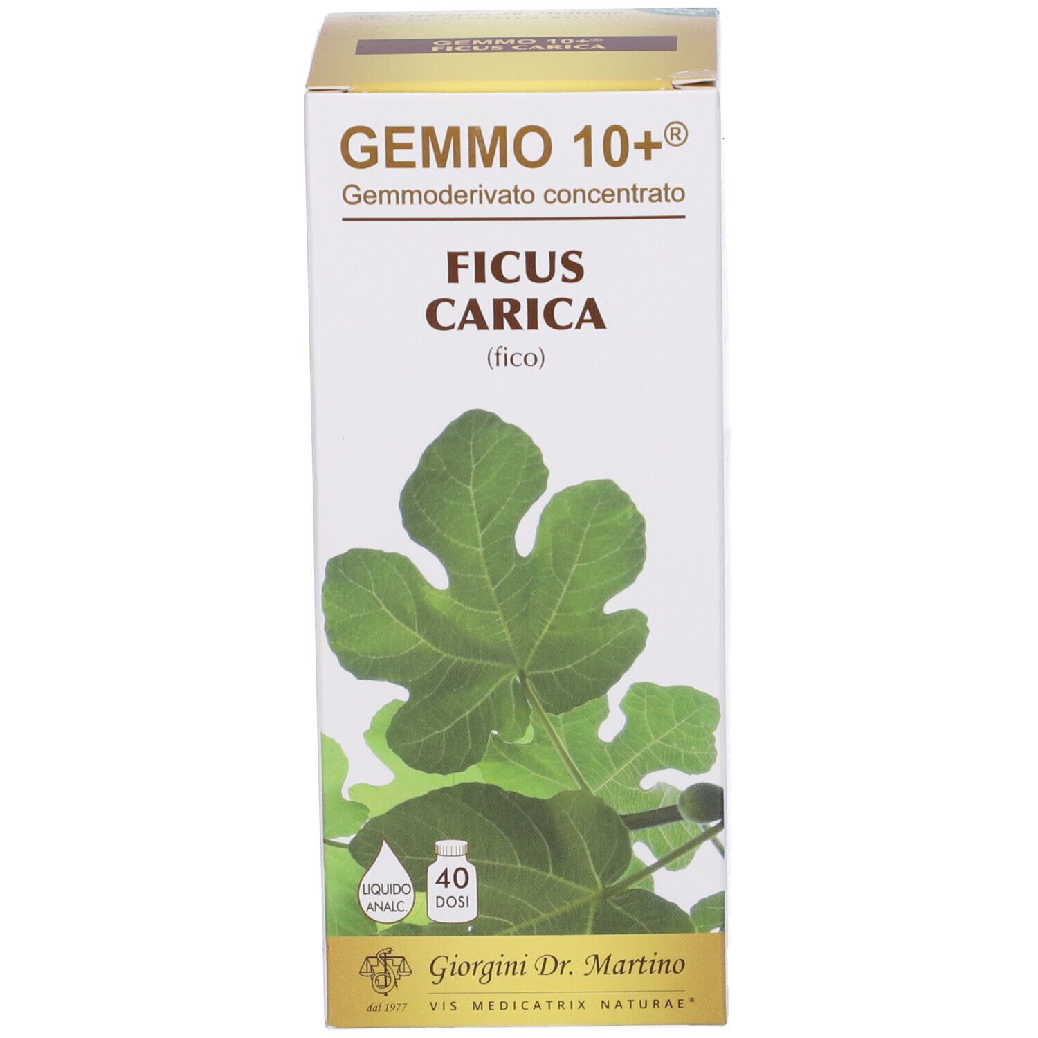 Boîte avec informations sur le produit et une feuille de figuier. La boîte indique 'Gemmo 10+' et 'Ficus Carica'.