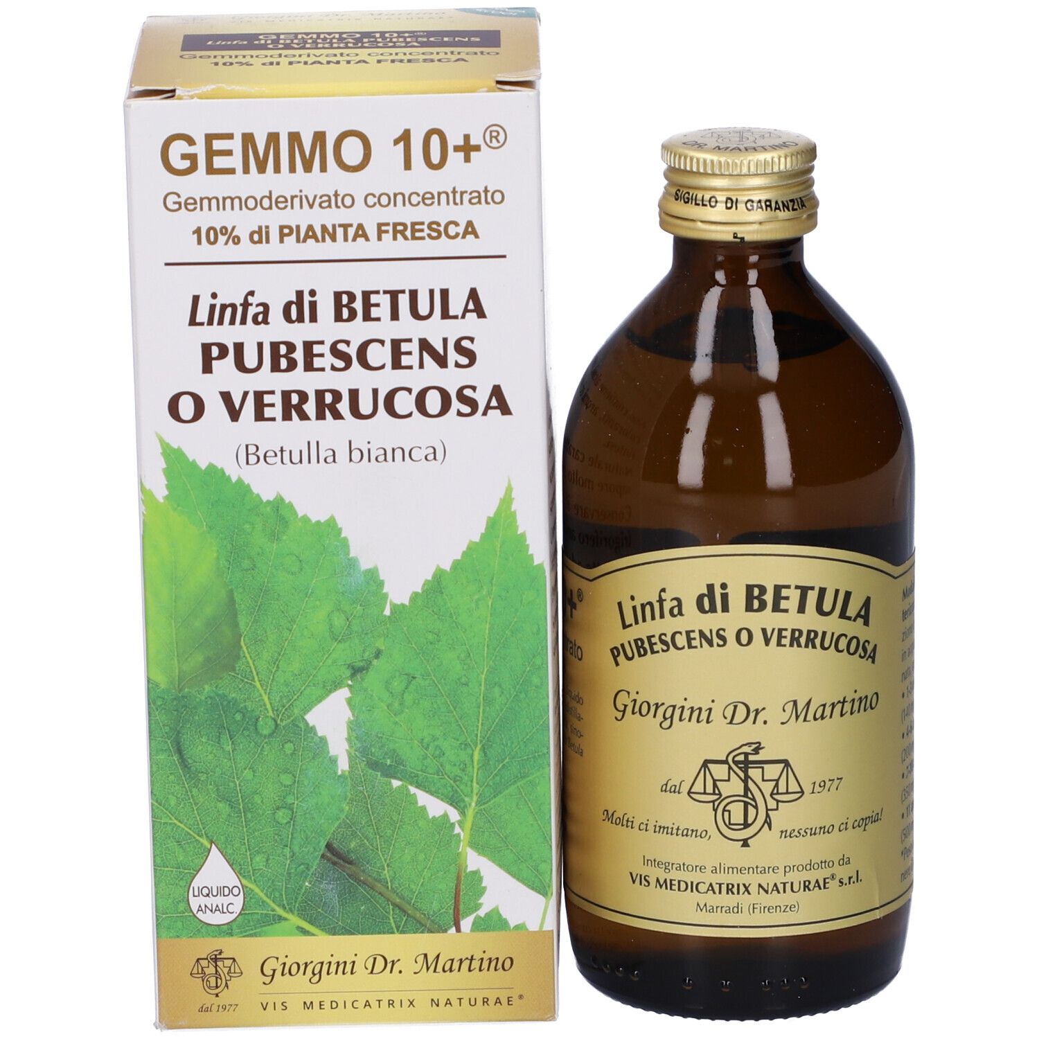 Flacon en verre brun et boîte. La boîte indique 'GEMMO 10+' et 'Linfa di Betula'.