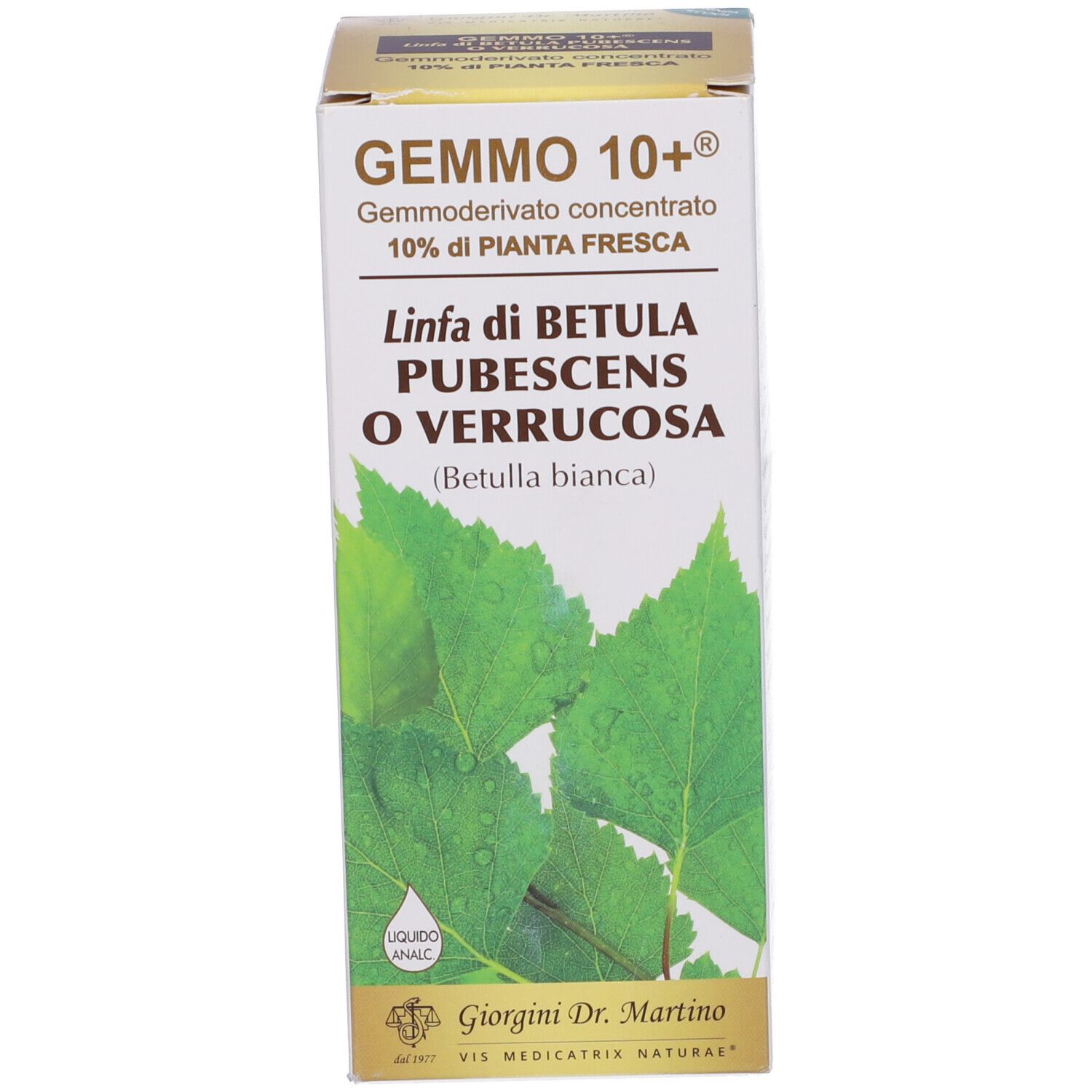 Boîte avec 'GEMMO 10+' et 'Linfa di Betula'. Illustration de feuilles.