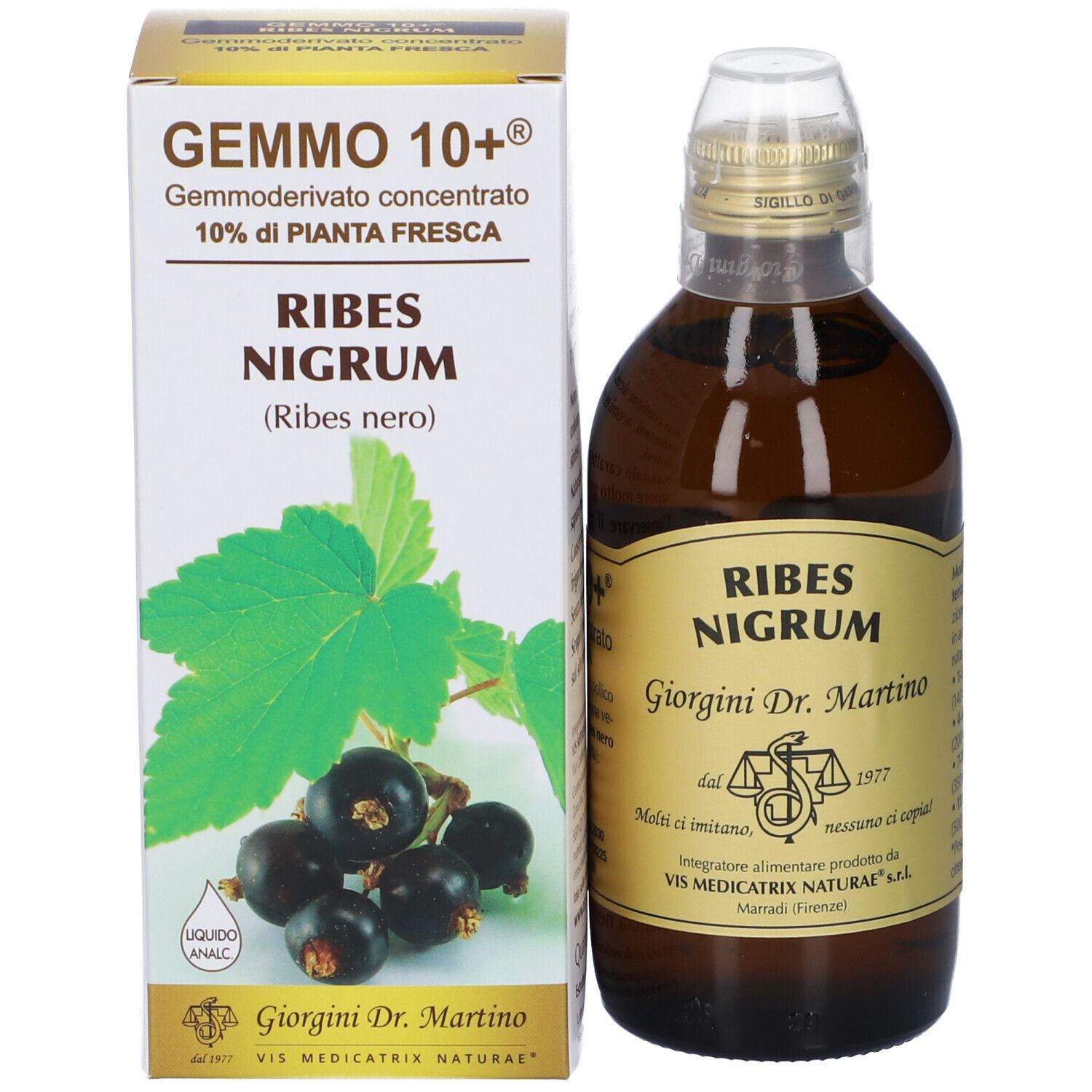 Flacon en verre brun et boîte. Ribes Nigrum est indiqué sur le flacon. Gemmo 10+ et une image de cassis sont sur la boîte.