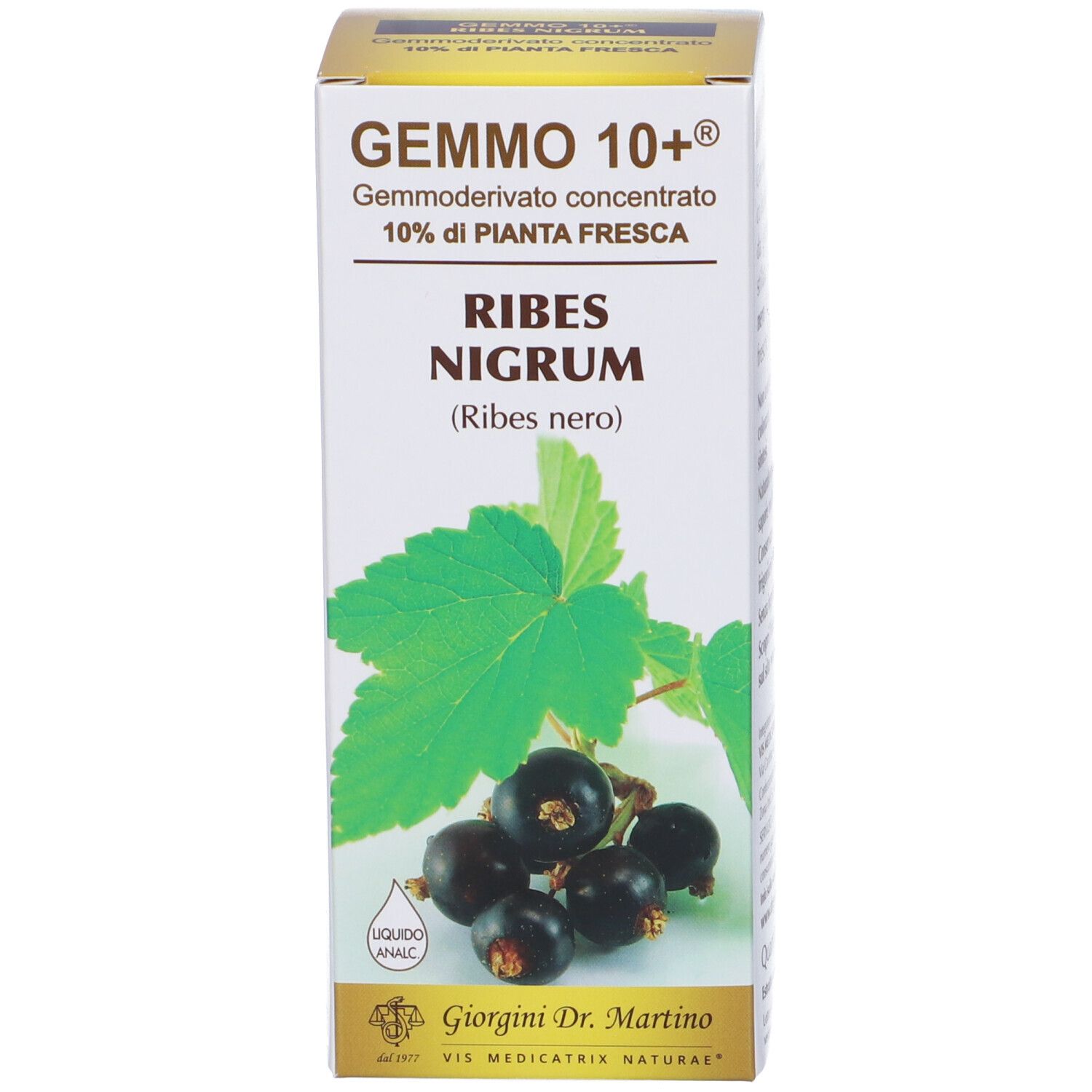 Boîte avec informations sur le produit. Gemmo 10+ et Ribes Nigrum sont indiqués sur la boîte. Une image de cassis est également visible.